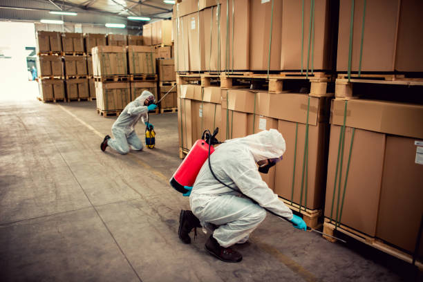 Best Emergency Pest Control  in O, MI