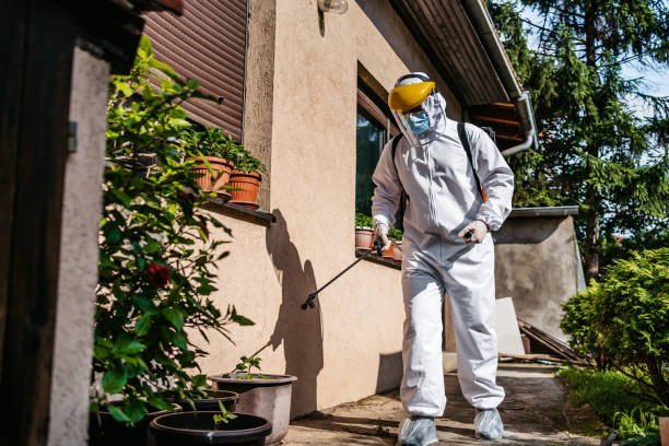 Best Bed Bug Extermination  in O, MI