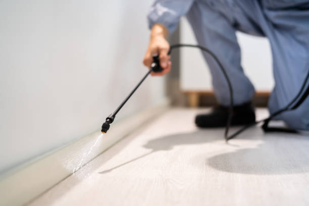 Pest Control for Restaurants in Mio, MI