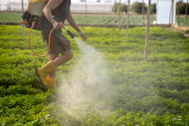 Best Affordable Pest Control Services  in O, MI