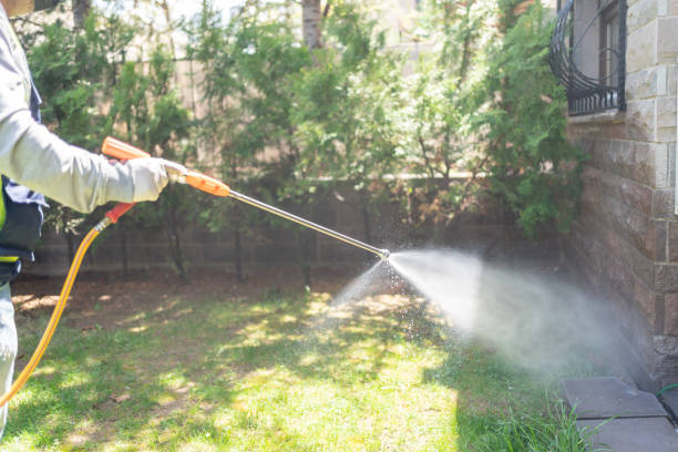 Trusted Mio, MI Pest Control Experts