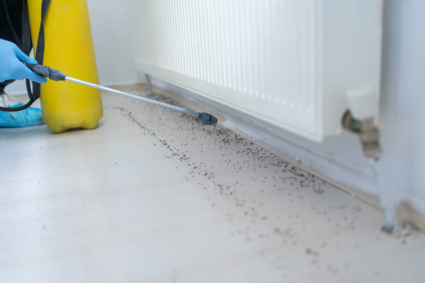 Best Pest Control for Homes  in O, MI