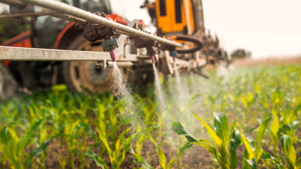 Best Pest Removal Services  in O, MI